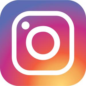 Logo Insta